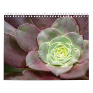 Cactus Print   A Desert Cactus Flower Calendar