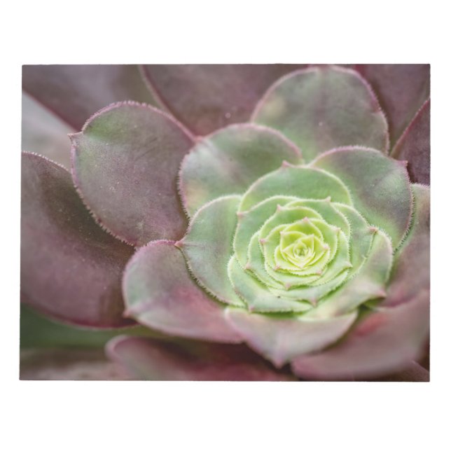 Cactus Print | A Desert Cactus Flower Notepad (Front)
