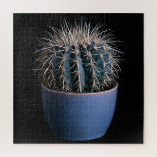 Cactus Puzzle