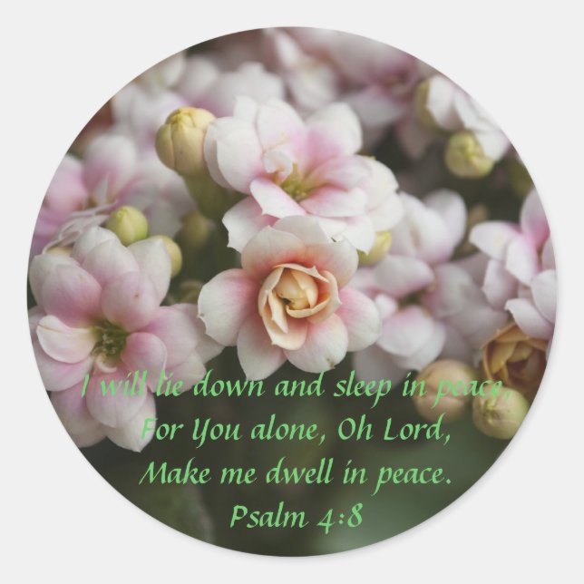 Cactus Rose Classic Round Sticker (Front)