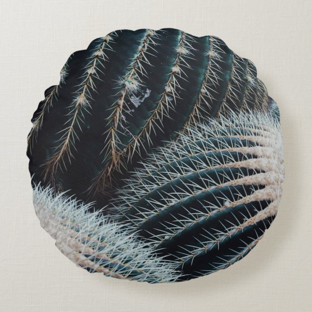 Cactus Round Cushion (Front)