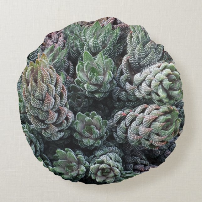 Cactus Round Pillow (Back)