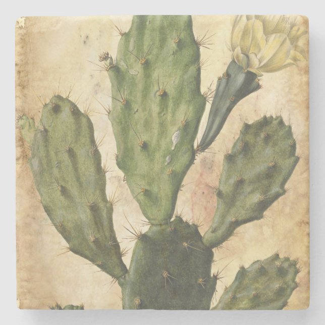 cactus rustic vintage stone coaster (Front)