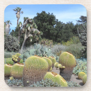 Cactus Scene Coaster