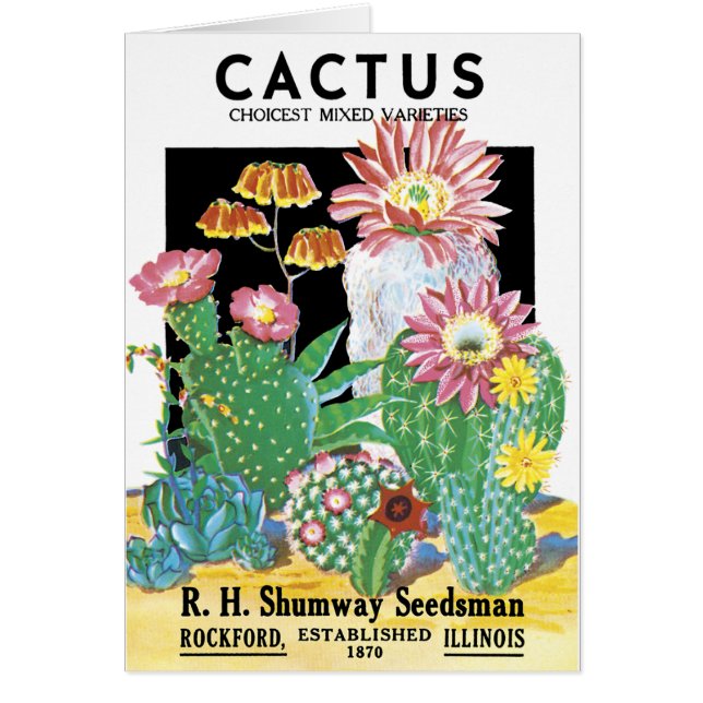 Cactus Seed Package (Front)