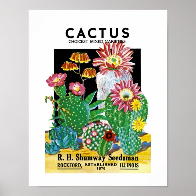 Cactus Seed Packet Label Poster (Front)
