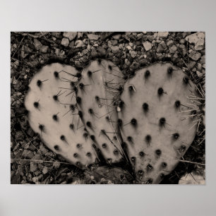 Cactus Sepia Portrait Poster