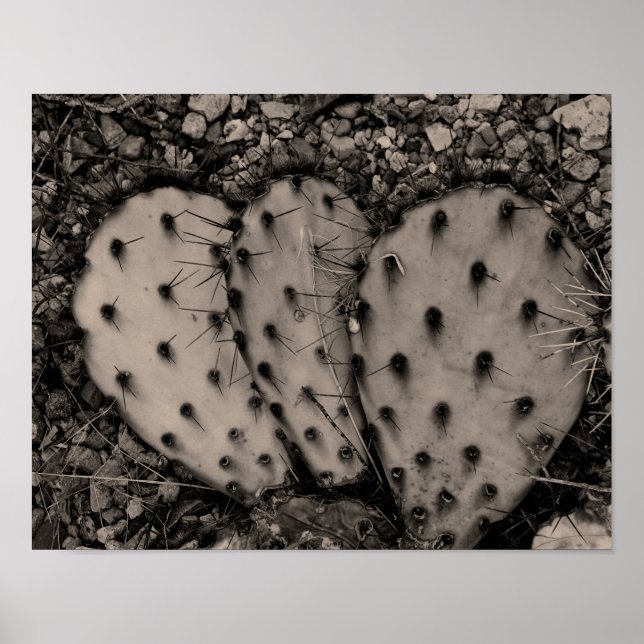 Cactus Sepia Portrait Poster (Front)
