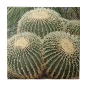 Cactus Small (4.25" x 4.25") Ceramic Photo Tile