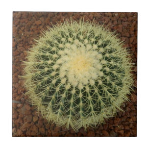 Cactus Small (4.25" x 4.25") Ceramic Photo Tile
