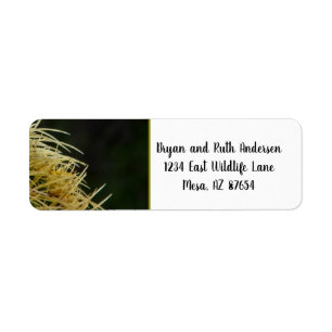 Cactus spikes address label