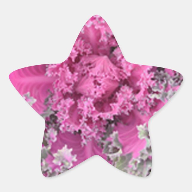 Cactus Star Sticker (Front)