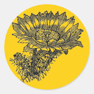 Cactus Sticker