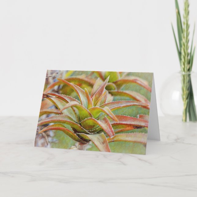 Cactus Succulent Aloe Art Note Card (Front)