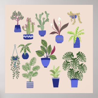 Cactus Succulent Houseplant Pink Poster