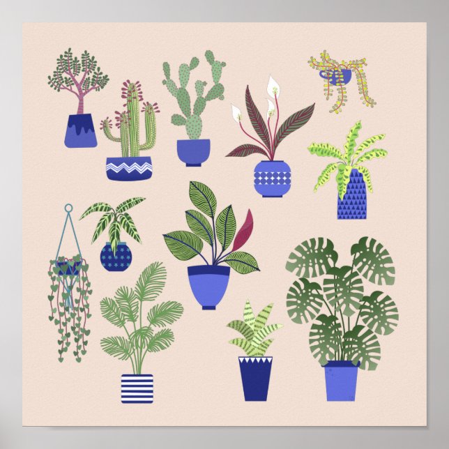 Cactus Succulent Houseplant Pink Poster (Front)