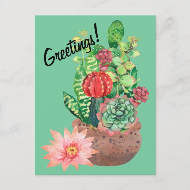 Cactus, Succulents, Cactus Flower, Arrangement Postcard (Front)