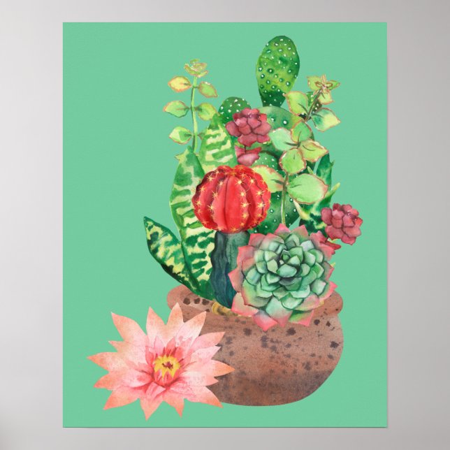 Cactus, Succulents, Cactus Flower, Arrangement  Poster (Front)