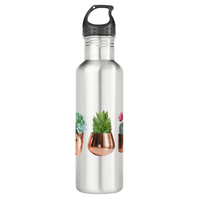 Cactus & Succulents in Rose Gold Pots 710 Ml Water Bottle (Front)