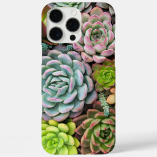 Cactus Succulents phone cases