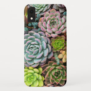 Cactus Succulents phone cases