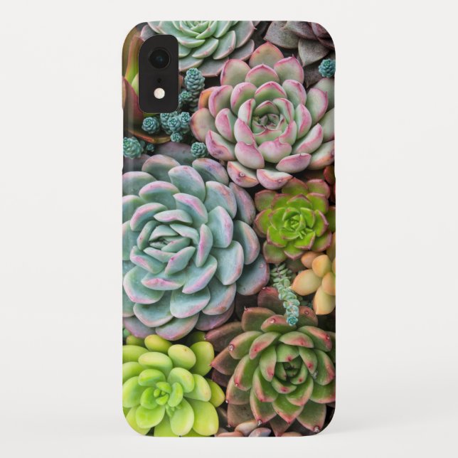 Cactus Succulents phone cases (Back)