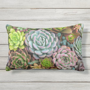 Cactus Succulents throw pillows