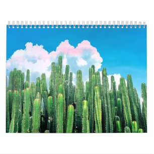 Cactus Summer Calendar