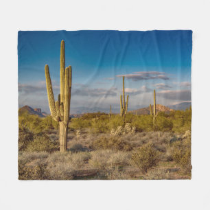 Cactus Sunset in Arizona Fleece Blanket