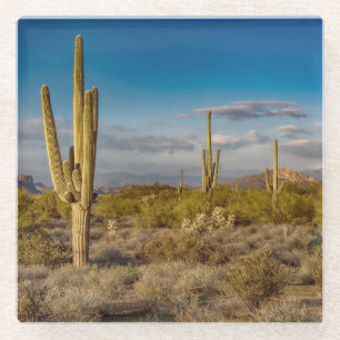 Cactus Sunset in Arizona Glass Coaster