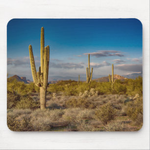 Cactus Sunset in Arizona Mouse Mat