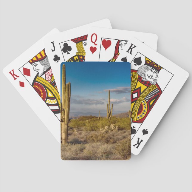 Cactus Sunset in Arizona Playing Cards (Back)