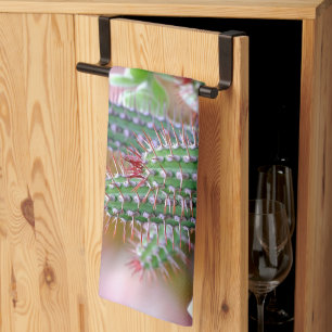 cactus tea towel