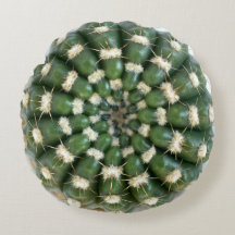 Cactus throw pillow