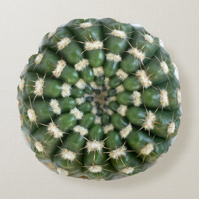 Cactus throw pillow (Front)