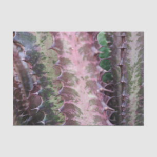 Cactus Tissue Paper