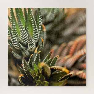 Cactus Too Jigsaw Puzzle