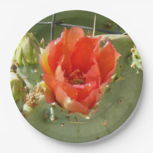 Cactus Tough and Beautiful large paper plates