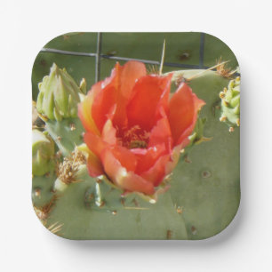 Cactus Tough and Beautiful square paper plates