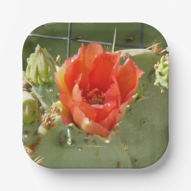 Cactus Tough and Beautiful square paper plates (Front)