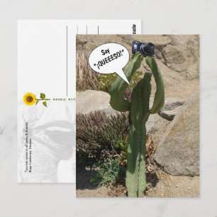Cactus Tourist, Say QUEEESO - postcard