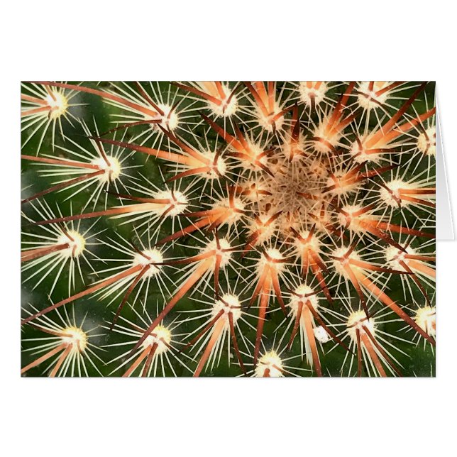 Cactus with Starburst Spines Greeting Card (Front Horizontal)