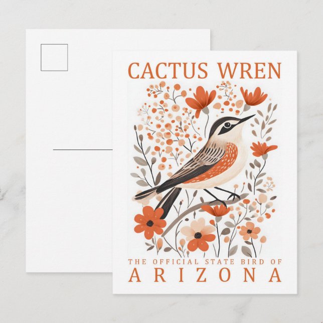Cactus Wren Bird of Arizona USA Travel Postcard (Front/Back)