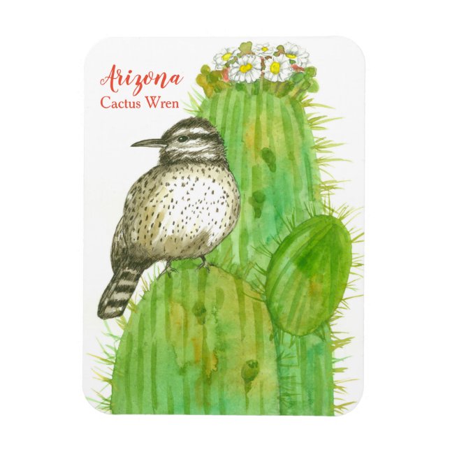 Cactus Wren State Bird of Arizona Magnet (Vertical)