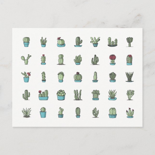 Cactuses Succulents Plants Hand Drawn Botanical Postcard (Front)