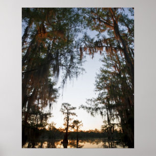 Caddo Lake at sunrise Poster