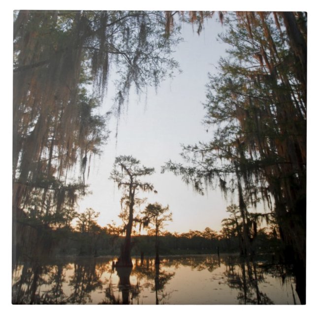 Caddo Lake at sunrise Tile (Front)