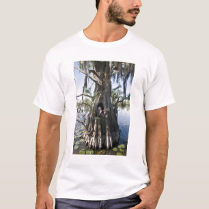 Caddo Lake, hunting blind T-Shirt