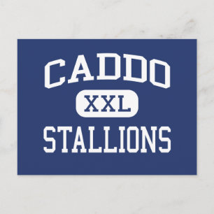 Caddo Stallions Middle Shreveport Louisiana Postcard