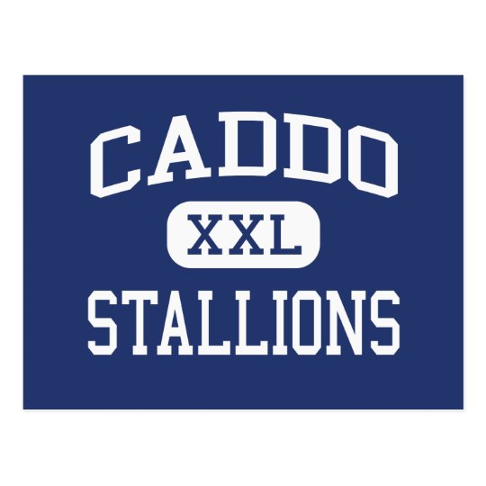 Caddo Stallions Middle Shreveport Louisiana Postcard